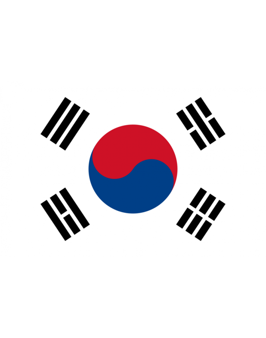 Bandiera Corea del Sud